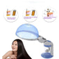 Salon Ozone Steamer 2-in-1