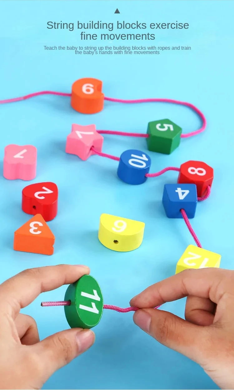 Montessori Learning Puzzle