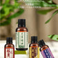 10ml Natural Plant Essential Oil Face and Body Skin Care Moisturizing Massage Shoulder and Neck Conditioning Essential Oil