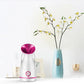 Home SPA Facial Steamer