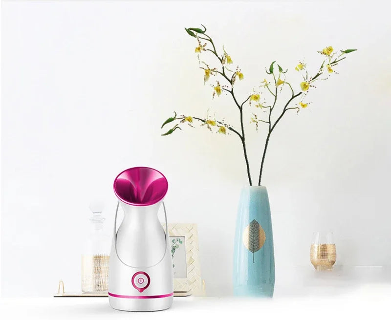 Home SPA Facial Steamer