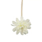 Rattan Bathroom Diffuser