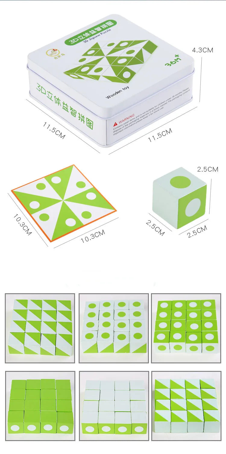 Logic 3D Wooden Puzzle