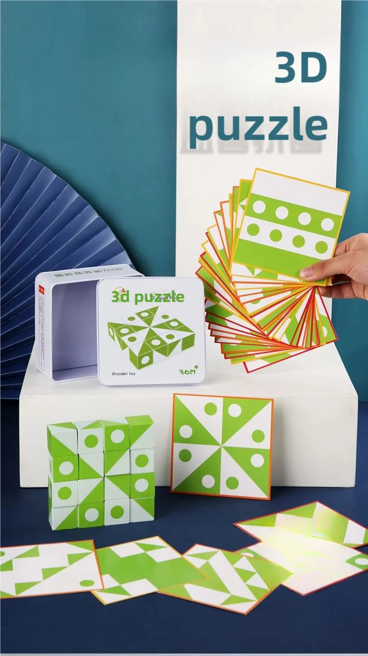 Logic 3D Wooden Puzzle