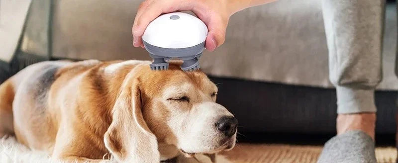 Kneading Head Massager