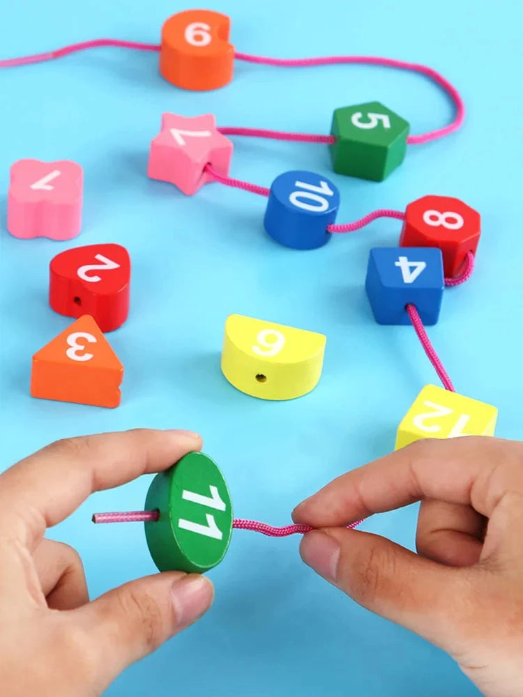 Montessori Learning Puzzle