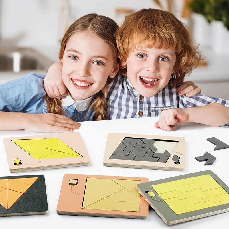 IQ Wooden Puzzle