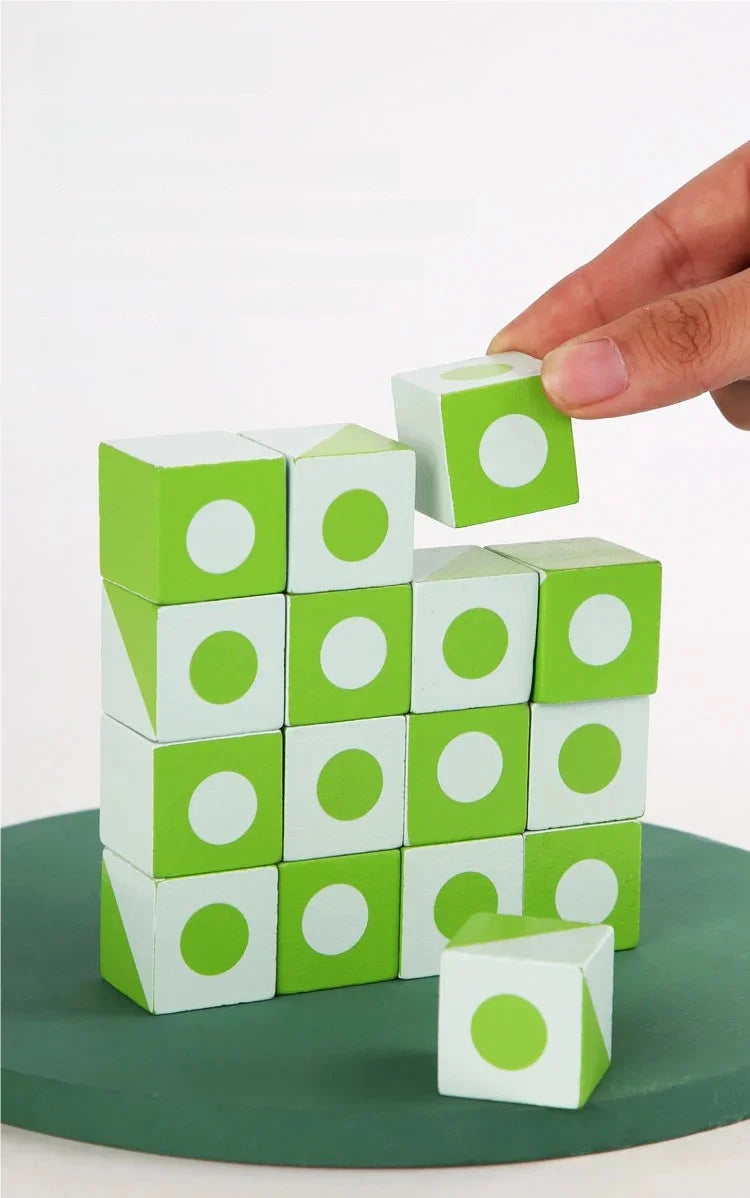 Logic 3D Wooden Puzzle