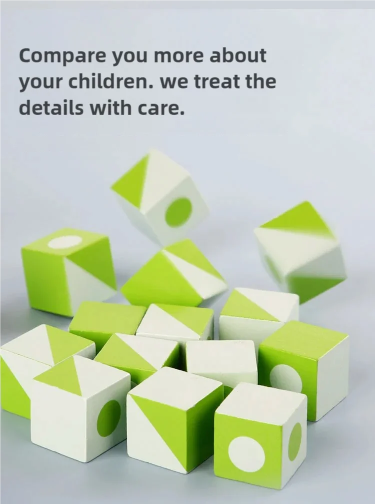 Logic 3D Wooden Puzzle