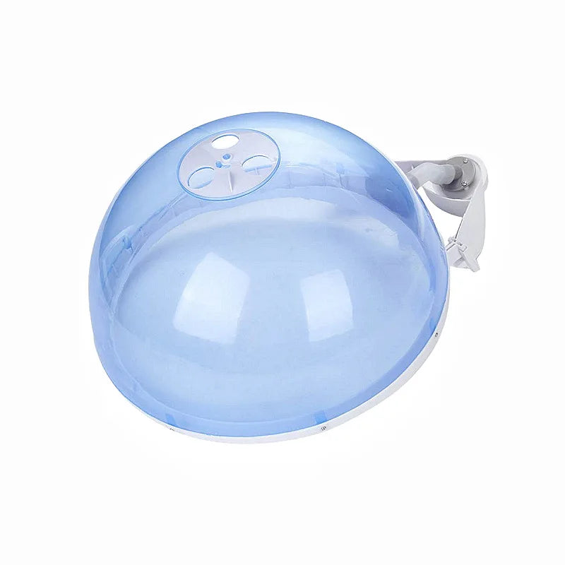 Salon Ozone Steamer 2-in-1