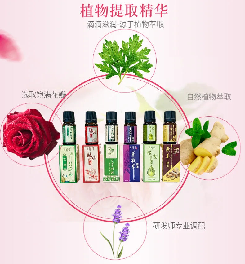 10ml Natural Plant Essential Oil Face and Body Skin Care Moisturizing Massage Shoulder and Neck Conditioning Essential Oil