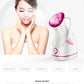 Home SPA Facial Steamer