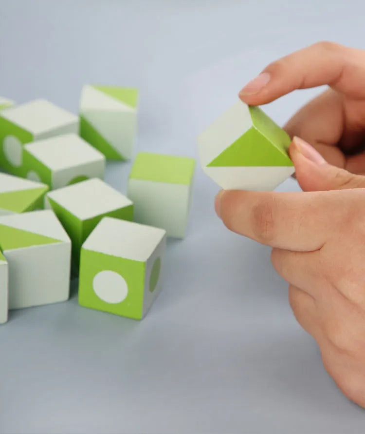 Logic 3D Wooden Puzzle